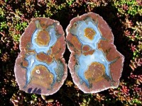 McDermitt Thunderegg